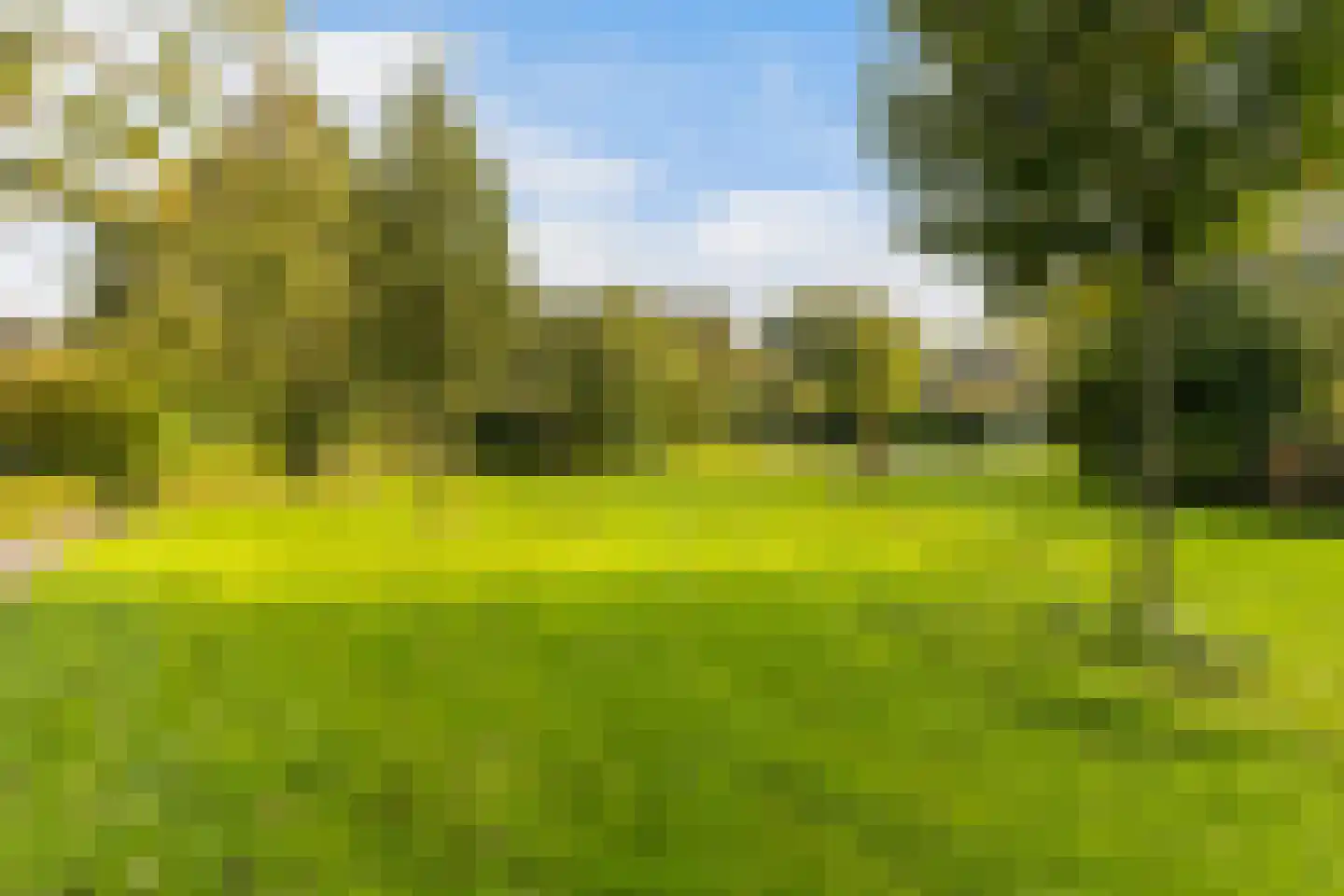 Oranjepark 29 Harmelen thumbnail 44