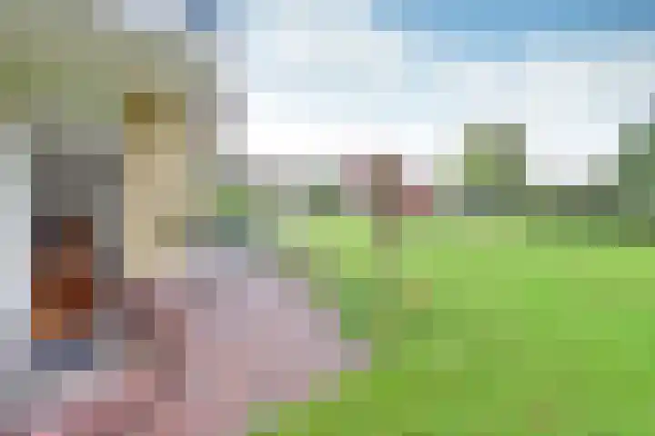 Oranjepark 34 Bussum thumbnail 12