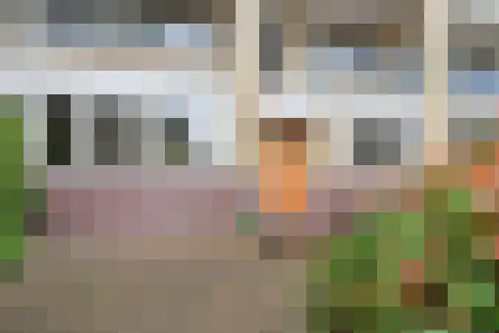 Oranjepark 34 Bussum thumbnail 15