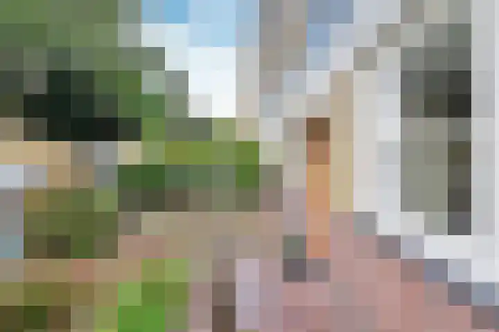 Oranjepark 34 Bussum thumbnail 16