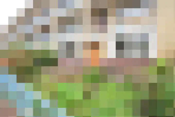 Oranjepark 34 Bussum thumbnail 17