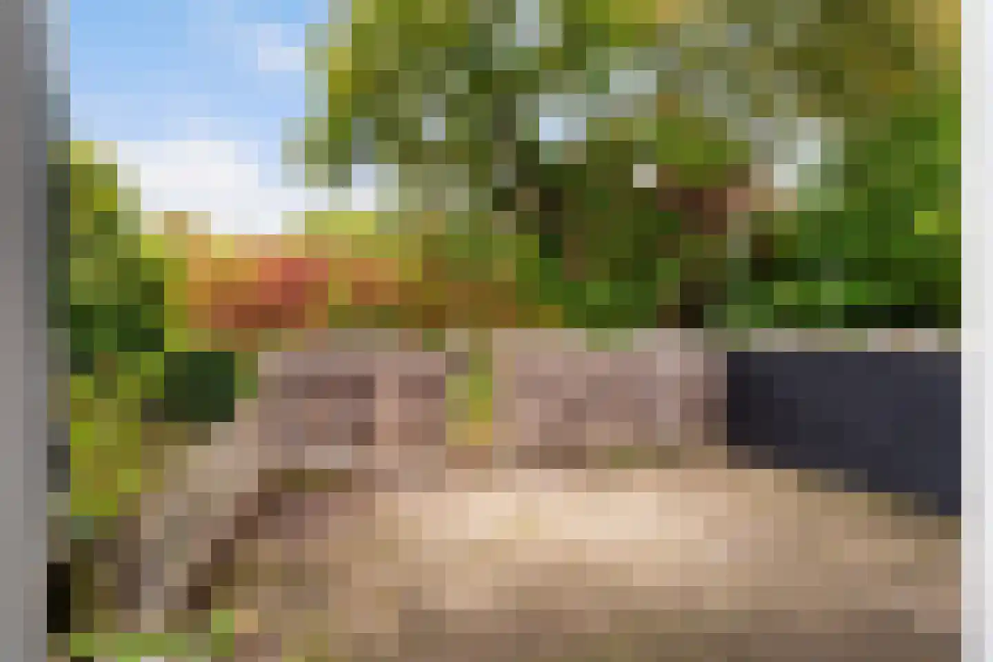 Oranjepark 34 Harmelen thumbnail 32