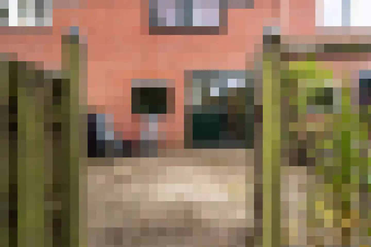 Oranjepark 34 Harmelen thumbnail 35