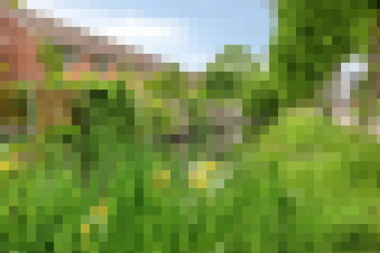 Oranjepark 4 Harmelen thumbnail 40