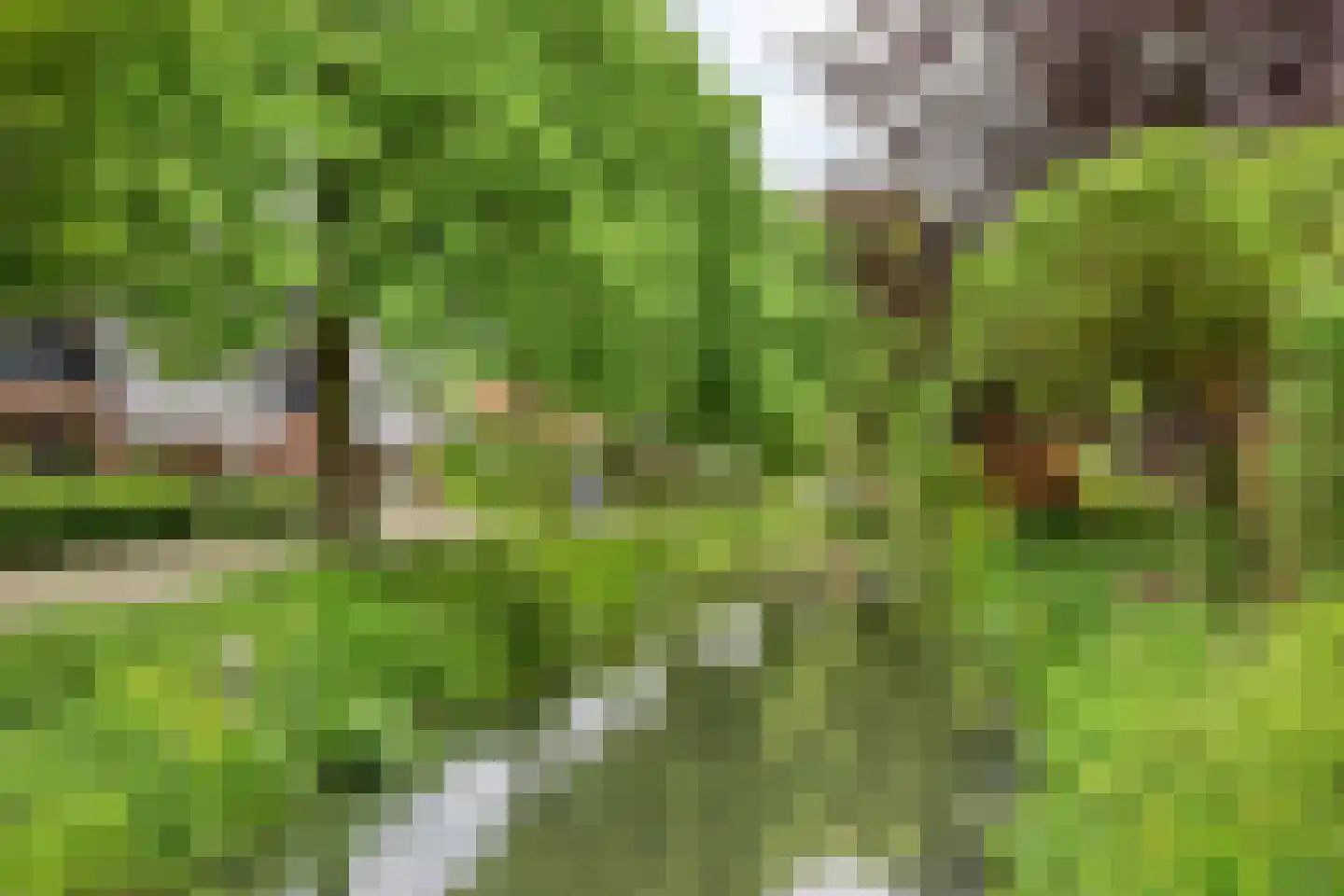 Oranjepark 4 Harmelen thumbnail 41