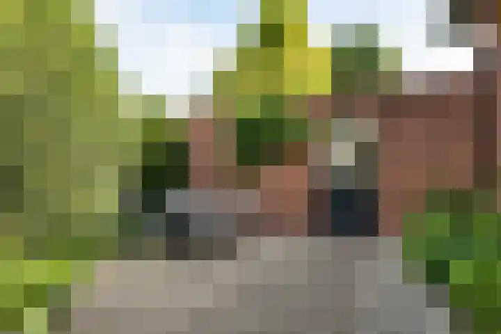 Oranjepark 7 Veendam thumbnail 18