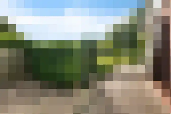 Oranjepark 7 Veendam thumbnail 20