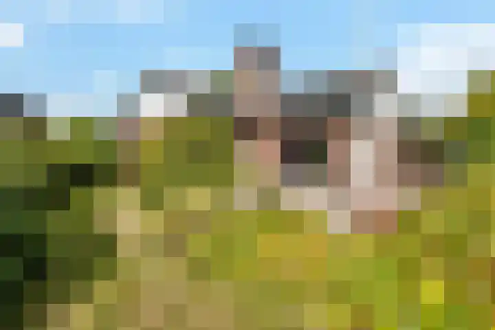 Oranjepark 7 Veendam thumbnail 22