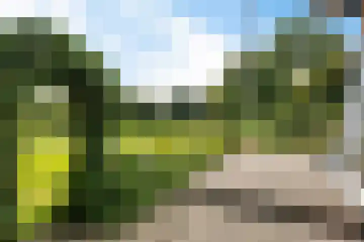 Oranjepark 7 Veendam thumbnail 23