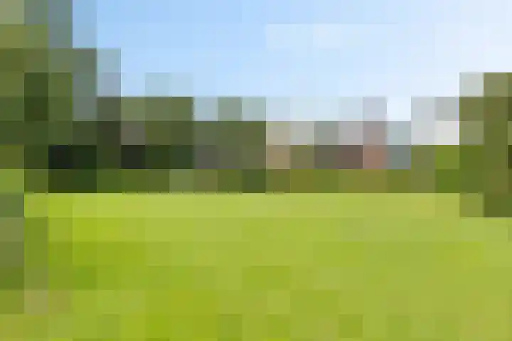 Oranjepark 7 Veendam thumbnail 24