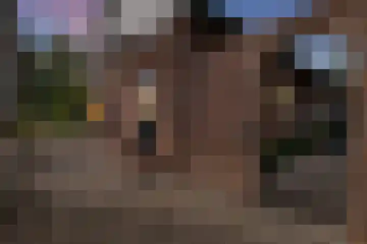 Oranjepark 7 Veendam thumbnail 30