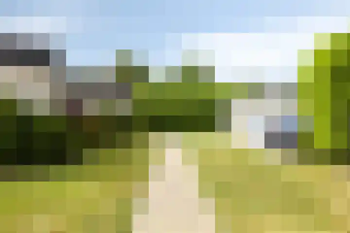 Oranjeplaat 22 Arnemuiden thumbnail 10