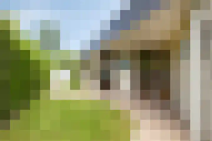 Oranjeplaat 22 Arnemuiden thumbnail 12