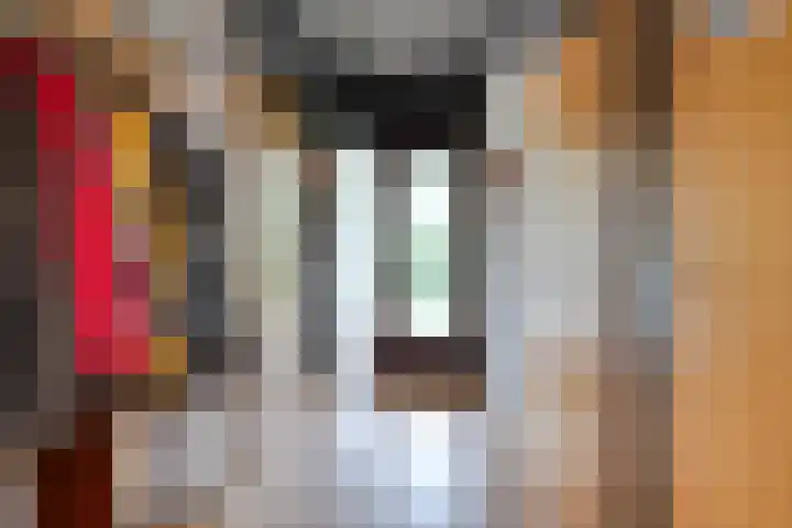 Oranjeplaat 22 Arnemuiden thumbnail 13