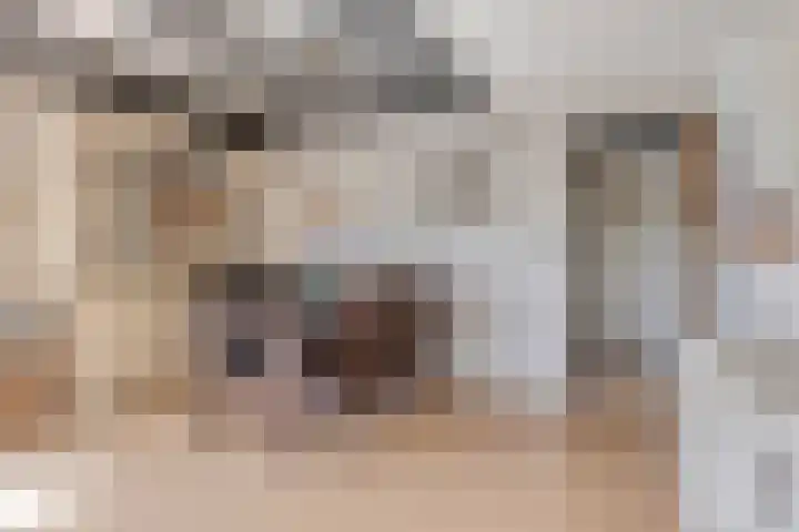 Oranjeplaat 22 Arnemuiden thumbnail 19