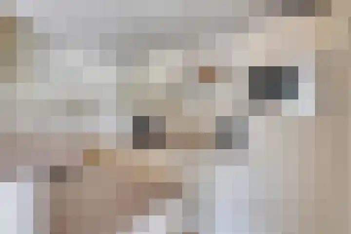 Oranjeplaat 22 Arnemuiden thumbnail 21