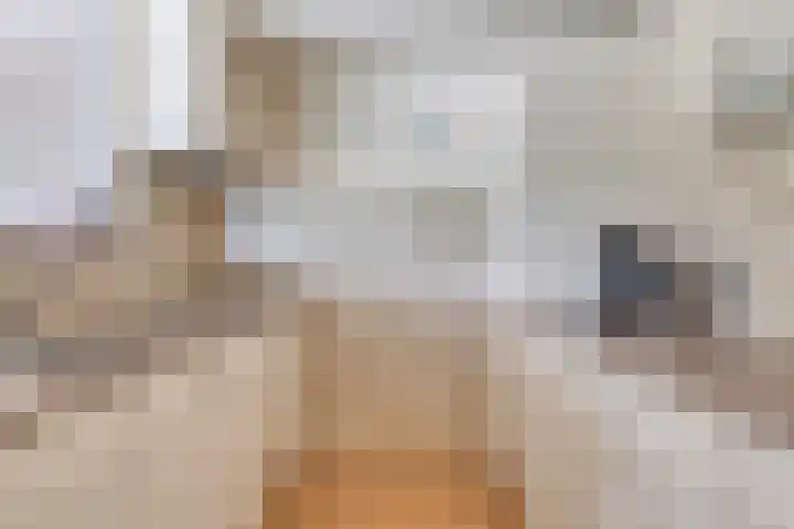 Oranjeplaat 22 Arnemuiden thumbnail 22