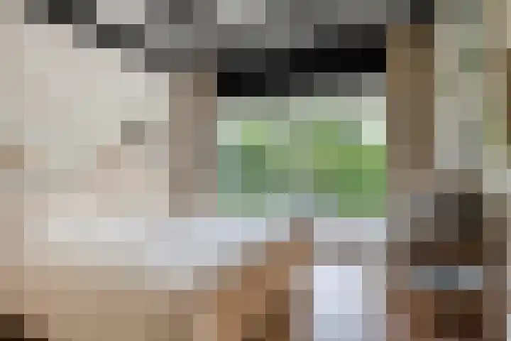 Oranjeplaat 22 Arnemuiden thumbnail 27