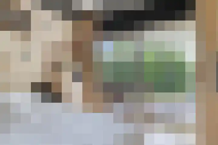 Oranjeplaat 22 Arnemuiden thumbnail 31