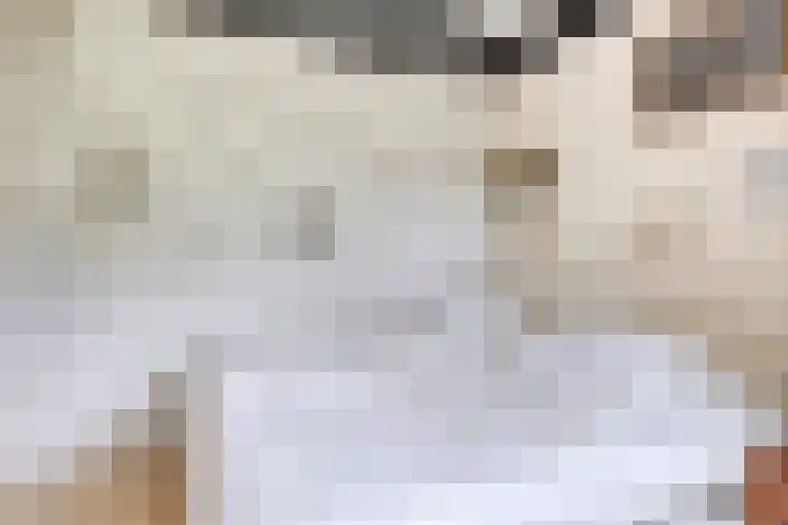 Oranjeplaat 22 Arnemuiden thumbnail 32