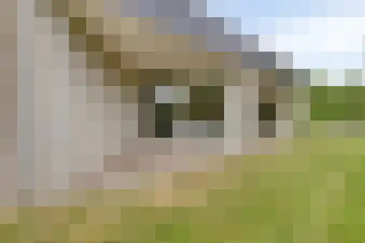 Oranjeplaat 22 Arnemuiden thumbnail 33