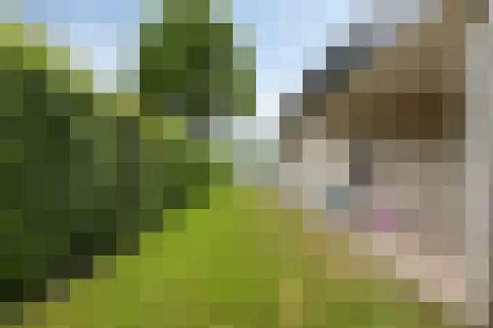 Oranjeplaat 22 Arnemuiden thumbnail 34