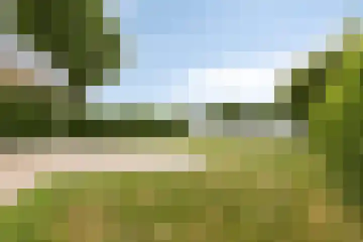 Oranjeplaat 22 Arnemuiden thumbnail 36