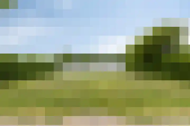 Oranjeplaat 22 Arnemuiden thumbnail 37