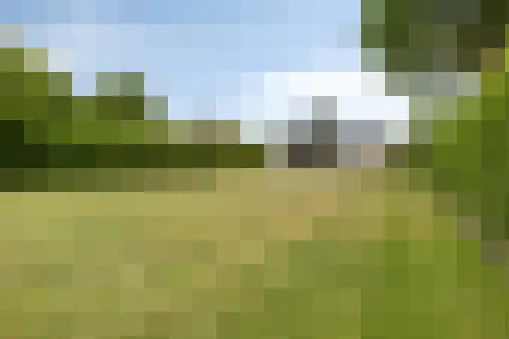 Oranjeplaat 22 Arnemuiden thumbnail 38