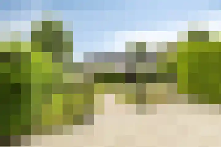 Oranjeplaat 22 Arnemuiden thumbnail 4