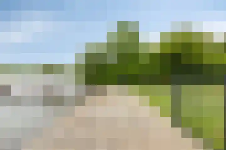 Oranjeplaat 22 Arnemuiden thumbnail 40