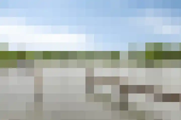 Oranjeplaat 22 Arnemuiden thumbnail 43