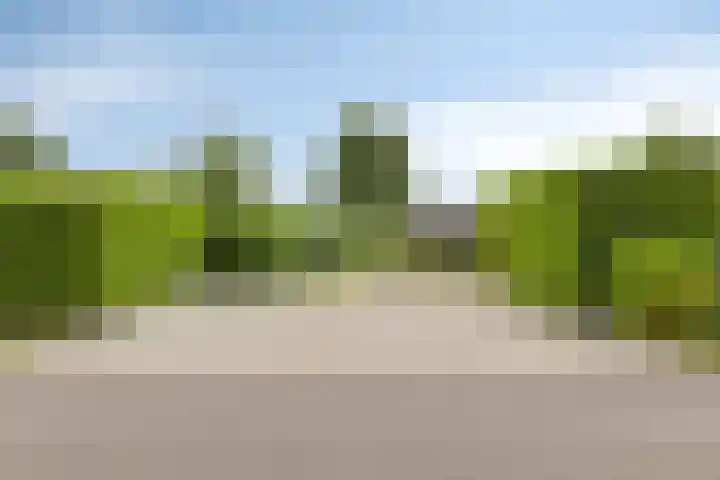 Oranjeplaat 22 Arnemuiden thumbnail 44