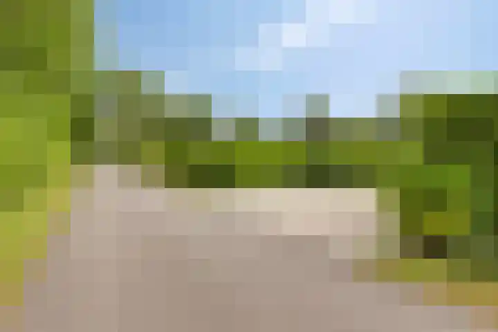 Oranjeplaat 22 Arnemuiden thumbnail 45