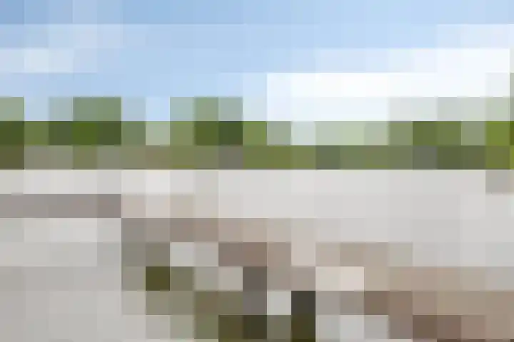 Oranjeplaat 22 Arnemuiden thumbnail 7