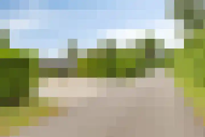 Oranjeplaat 22 Arnemuiden thumbnail 8