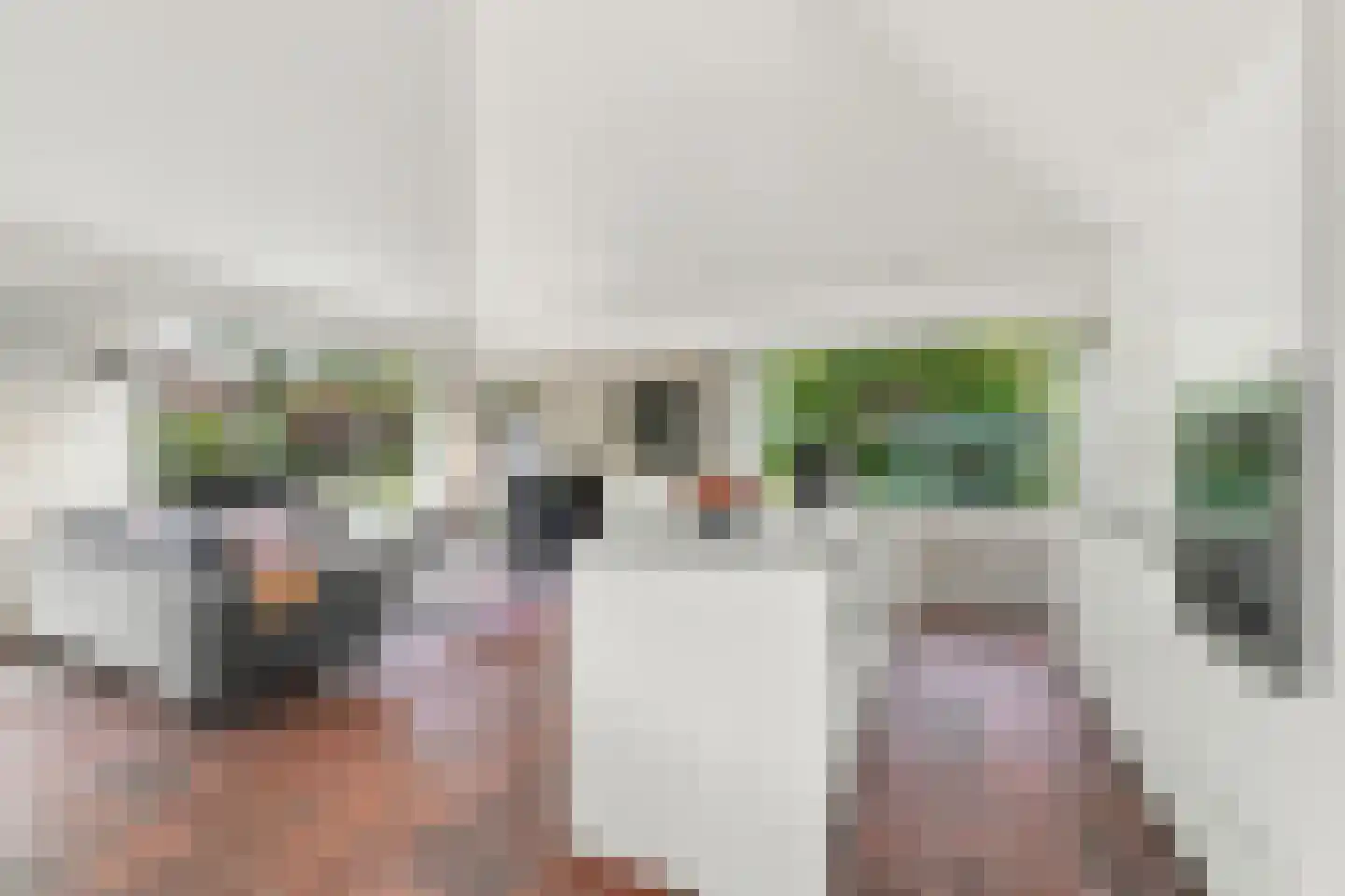 Oranjeplaat 37 Arnemuiden thumbnail 21