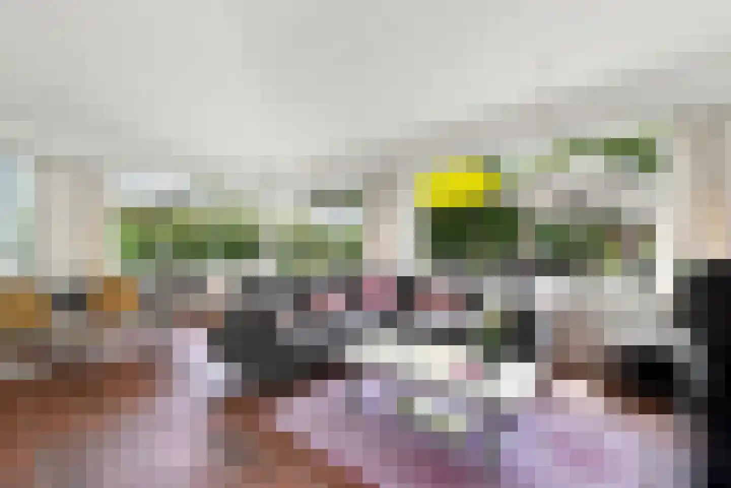 Oranjeplaat 37 Arnemuiden thumbnail 22
