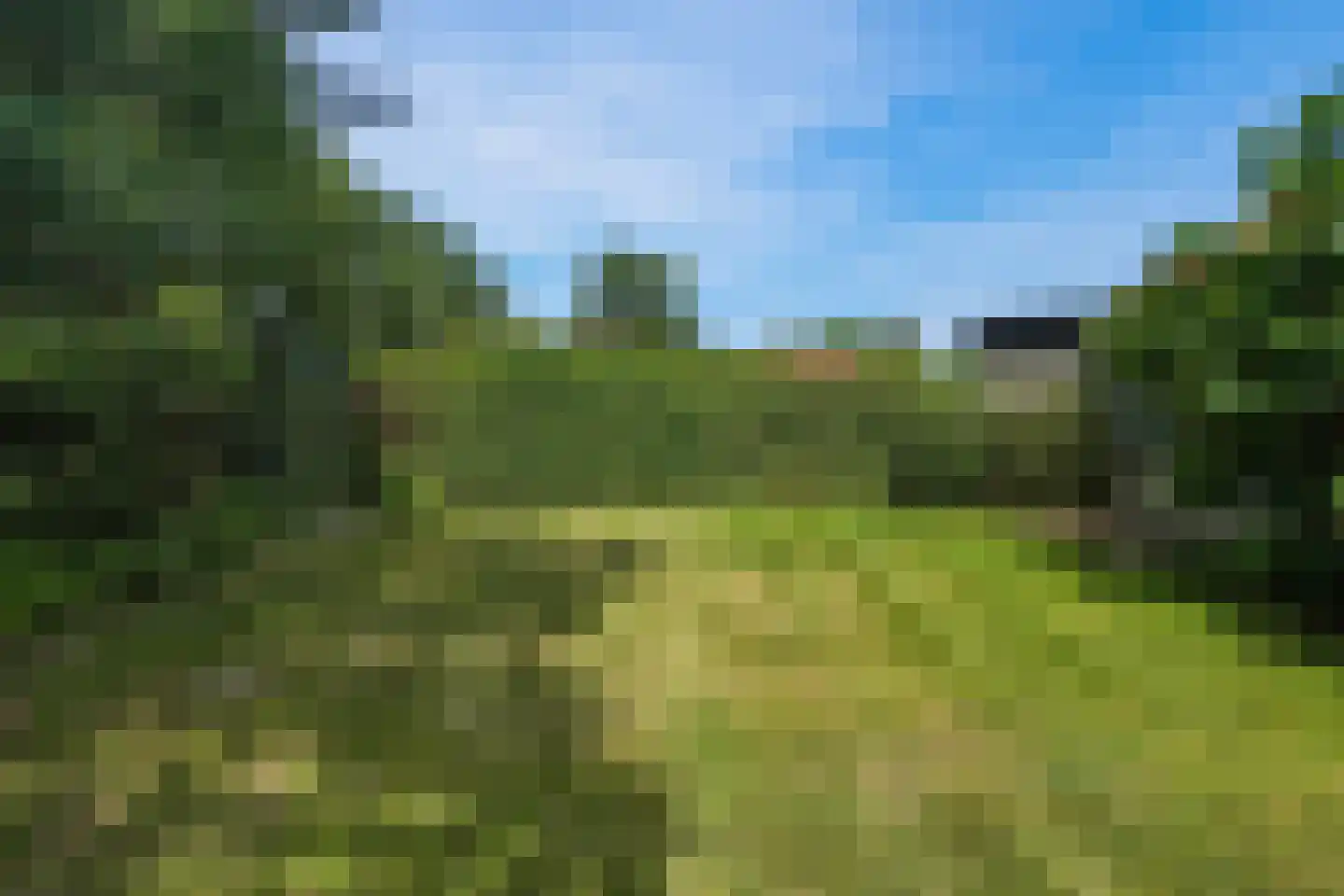 Oranjeplaat 37 Arnemuiden thumbnail 29