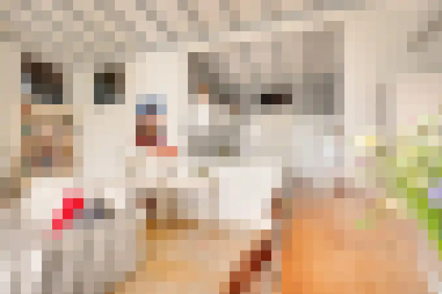 Oranjeplaat 45 Arnemuiden thumbnail 10