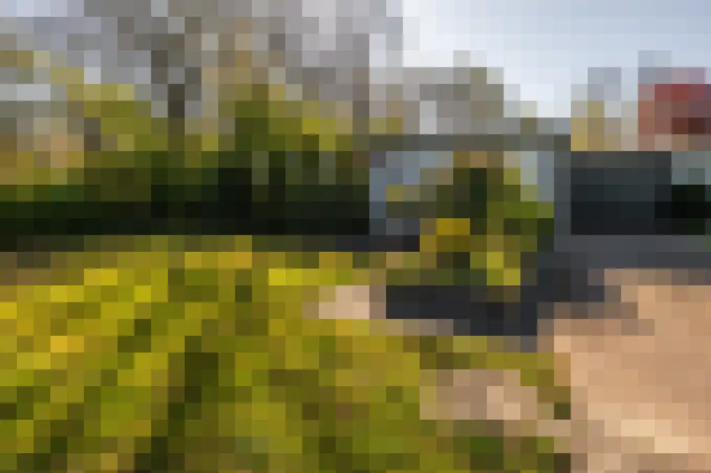 Oranjeplaat 45 Arnemuiden thumbnail 14