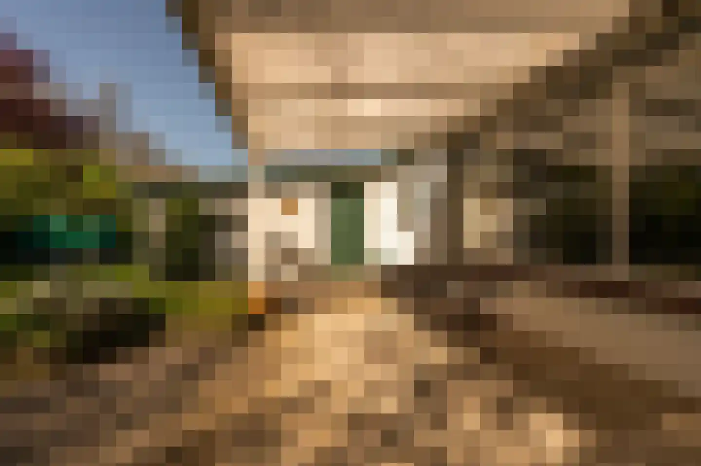 Oranjeplaat 45 Arnemuiden thumbnail 30