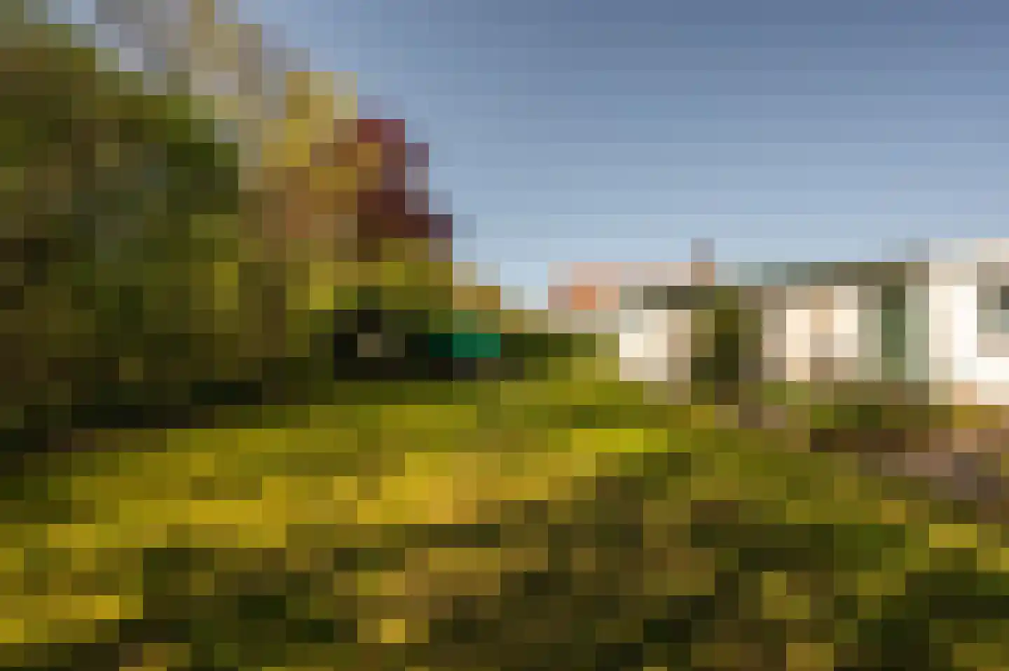 Oranjeplaat 45 Arnemuiden thumbnail 32