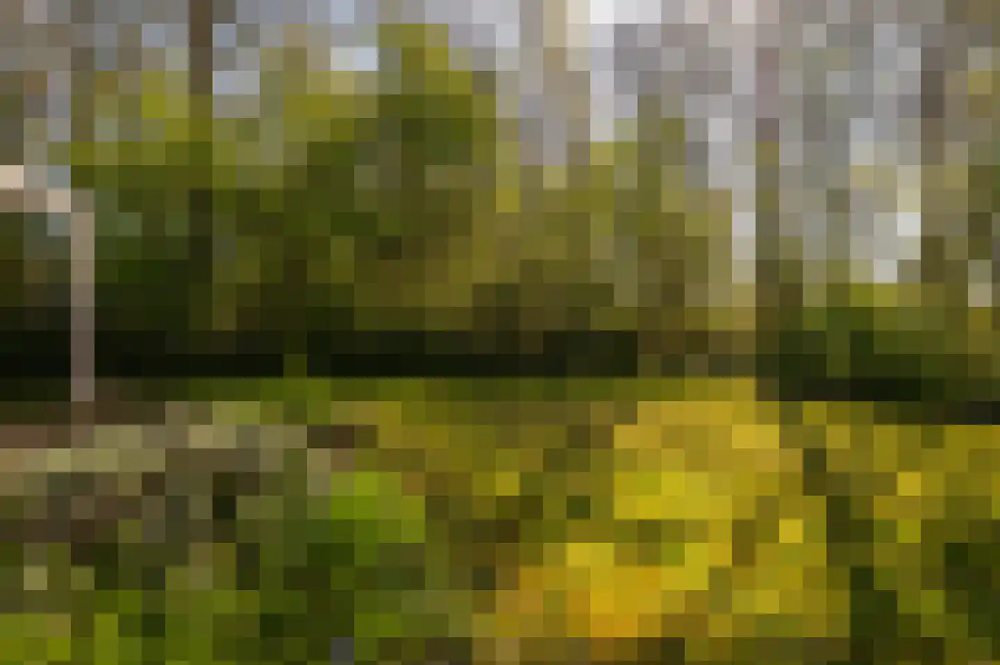 Oranjeplaat 45 Arnemuiden thumbnail 34