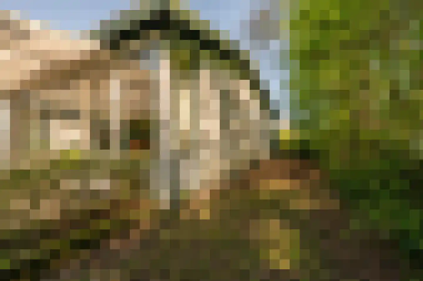 Oranjeplaat 45 Arnemuiden thumbnail 35