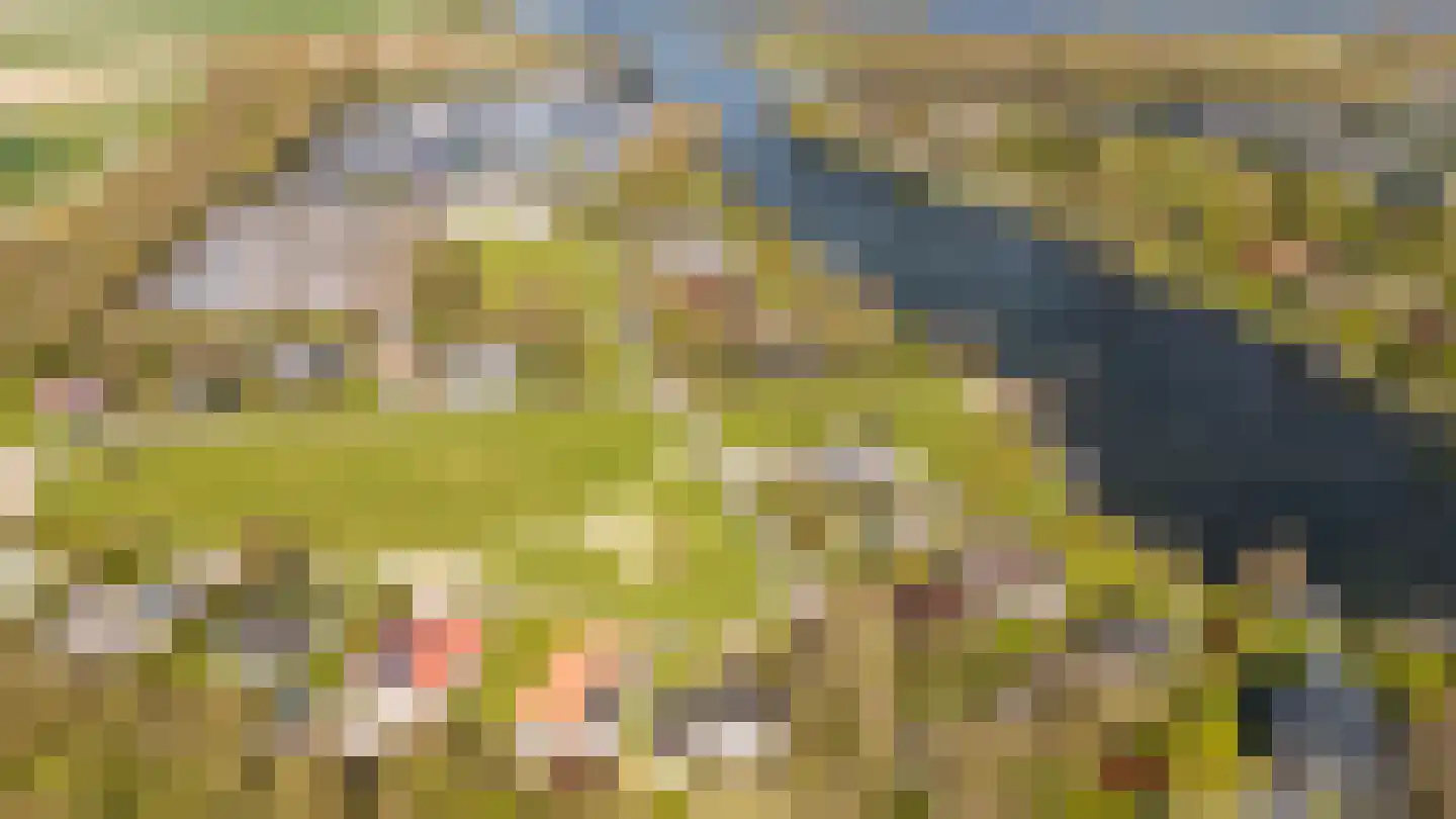 Oranjeplaat 45 Arnemuiden thumbnail 39