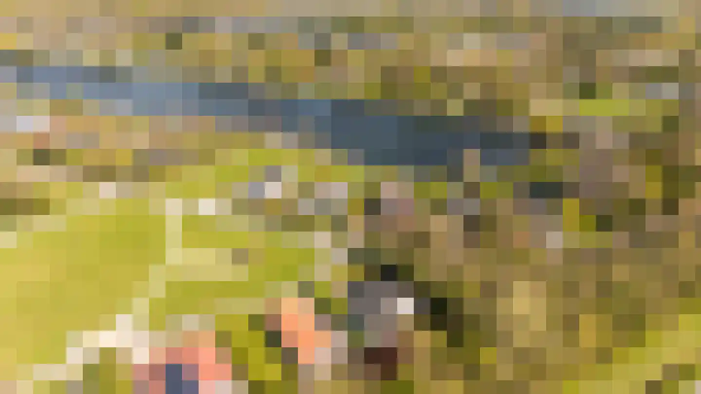 Oranjeplaat 45 Arnemuiden thumbnail 4