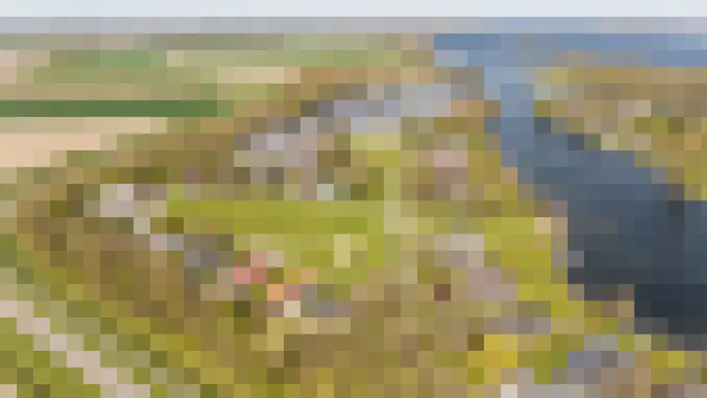 Oranjeplaat 45 Arnemuiden thumbnail 40