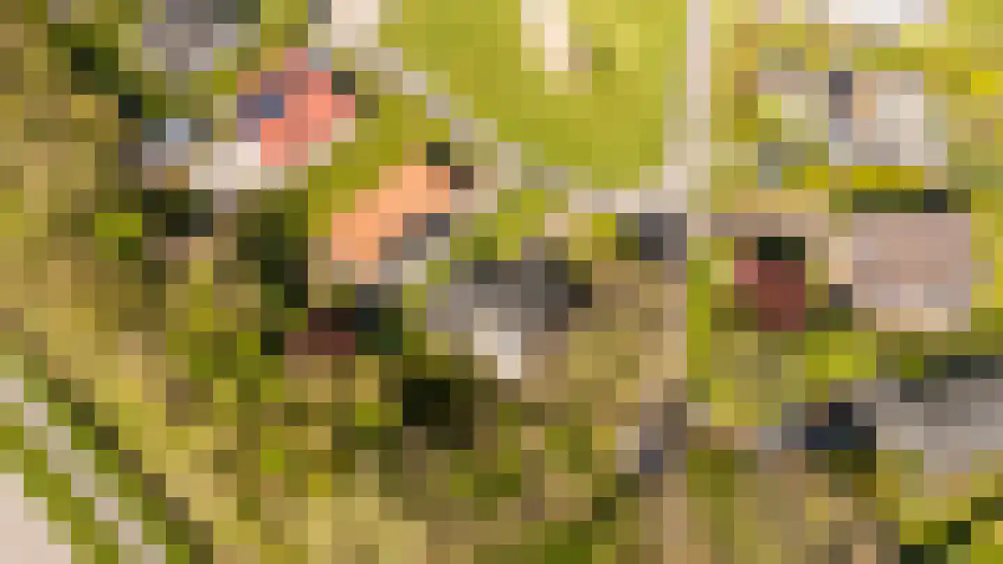 Oranjeplaat 45 Arnemuiden thumbnail 41