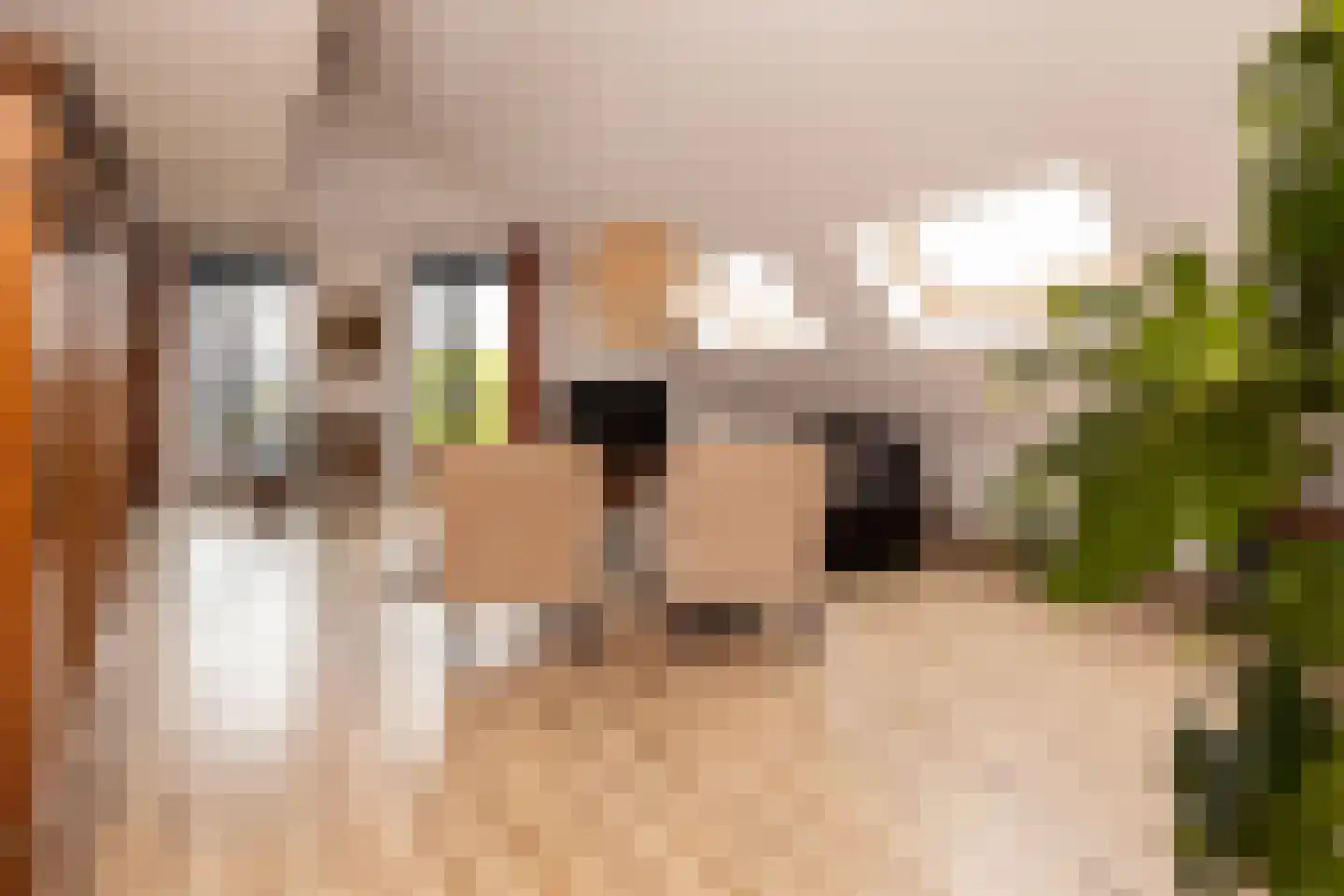 Oranjeplaats 20 Schoonhoven thumbnail 19